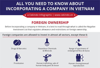 All You Need to Know About Incorporating a Company in Vietnam