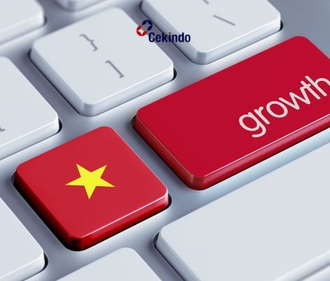 GDP Growth of Vietnam