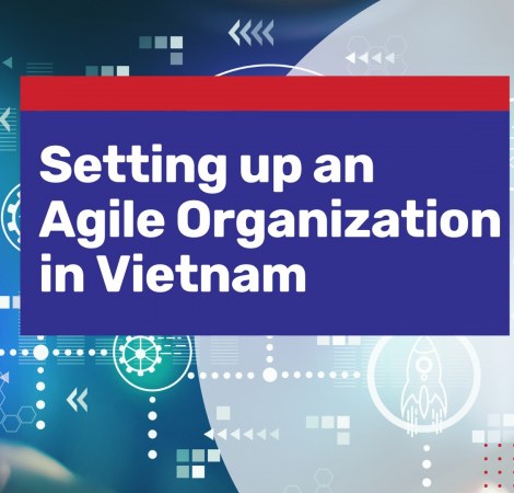 Agile Organization Benefits Vietnam