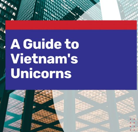 vietnam unicorns